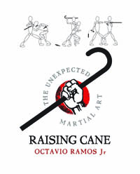 Raising Cane cover